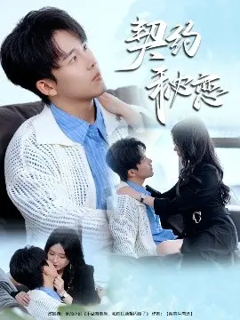契约秘恋 海报