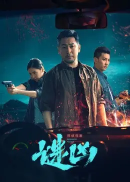 《刑侦档案·谜凶》深度解析：迷雾重重的罪案背后，人性的挣扎与救赎！