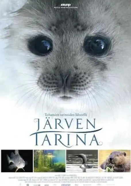 《湖泊的传说》影评：一场关于自然、人性与救赎的史诗级奇幻冒险之旅