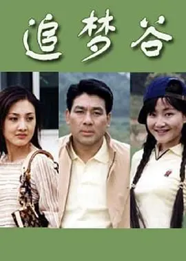 《追梦谷》：青春的笑与泪，一段关于梦想、友情和成长的治愈之旅！