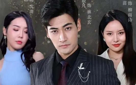 《离婚后，我继承了家业》：爽文逆袭！看落魄妻如何玩转豪门，开启开挂人生！